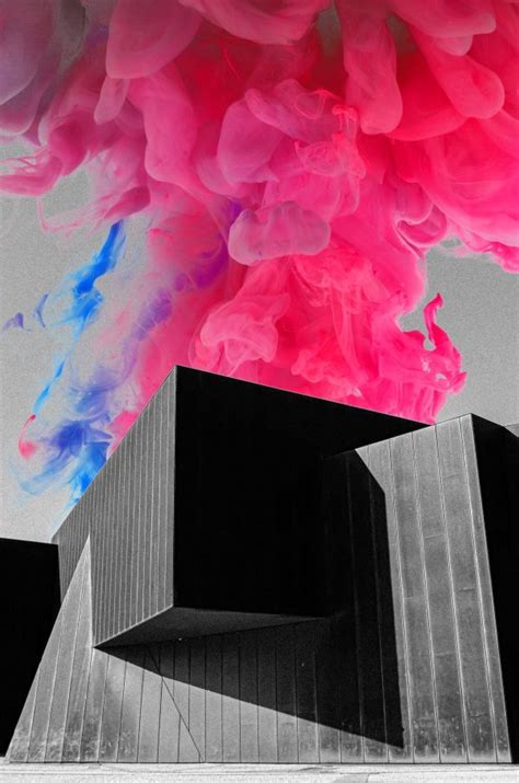 Acca Art Lovers Australia