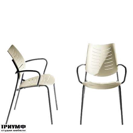 Студия ТРИУМФ – мебель Америки и итальянская мебель по выгодным ценам ...