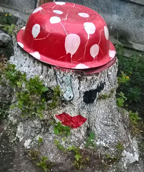 Пеньки с глазами (32 фото) » НА ДАЧЕ ФОТО