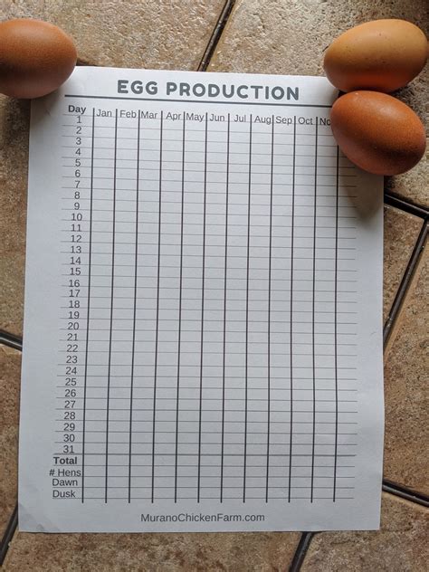 Tracking Egg Production In Hens Murano Chicken Farm