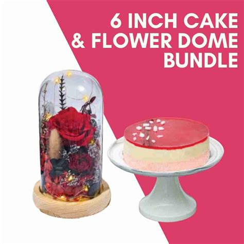 6 Inch Cake And Preserved Flower Dome Bundle Whyzee