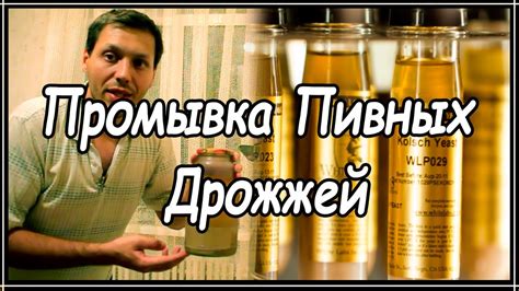 Промывка пивных дрожжей - YouTube