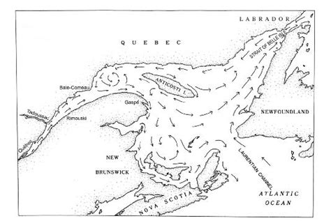 Special Places in Canada: The Gulf of St. Lawrence and Its Estuary