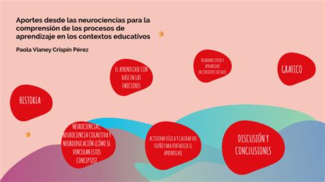 Aportes Desde Las Neurociencias Para La Comprensi N De Los Procesos De