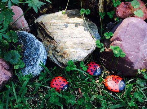 Ladybug Painted Rocks Stones Easy And Fun For Your Garden Garden Decor To Use In A Potted