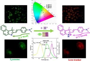 Hemicyanine Based Naked Eye Ratiometric Fluorescent Probe For