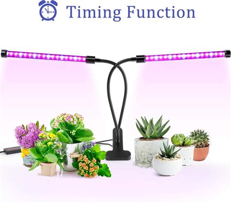 Top 7 Best Grow Light For Succulents 2022s Reviews And Guide Todays Gardener