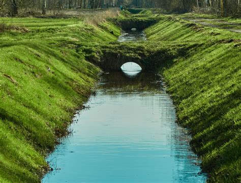 Tips To Transform A Drainage Ditch Into Colorful Landscaping Ideas