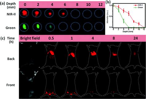 Intense Near Infrared Ii Luminescence From Nacef 4 Eryb Nanoprobes