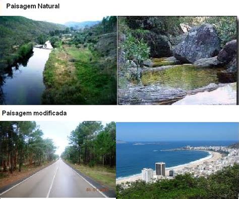 Ambiente Naturais E Modificados - Ambiente do saber – Artofit