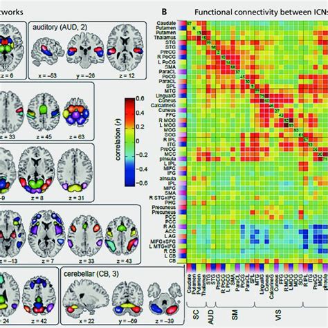 Nonlinear Alignment Of Brain Structure Regions To Dynamic Connectivity