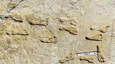 Fossilized Footprints in New Mexico Are Earliest Evidence of Humans in ...