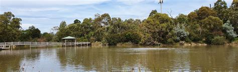 Ringwood Lake Trail 69 Reviews Map Victoria Australia Alltrails