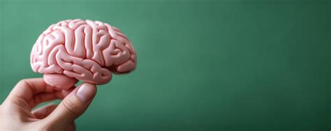 Doughty Stevens Obituaries: Understanding the Human Experience 7