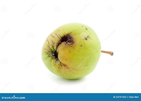 single bad apple stock image image  agriculture fruit