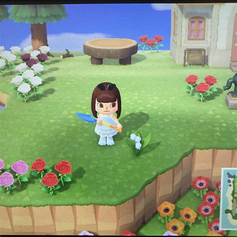 My first Jacob’s ladder! : r/AnimalCrossing