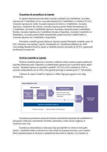 Sistemul Contabil Japonez Referat Docx
