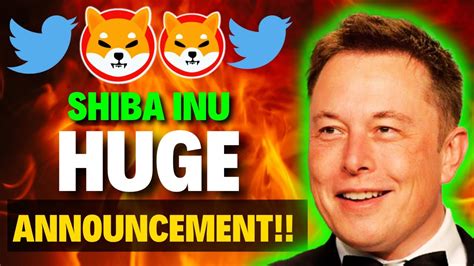 Shiba Inu Finally Elon Musk Shocked The Shib Army With His Huge