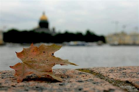 Мой Питер | Пикабу