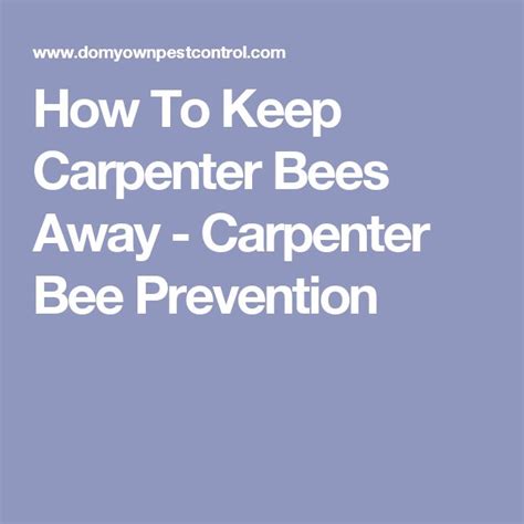 the words how to keep carpenter bees away - carpenter bee prevention on ...