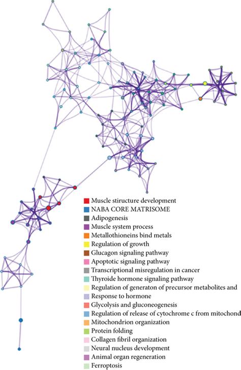 A Protein Protein Interaction Network Analysis Of The Degs B The