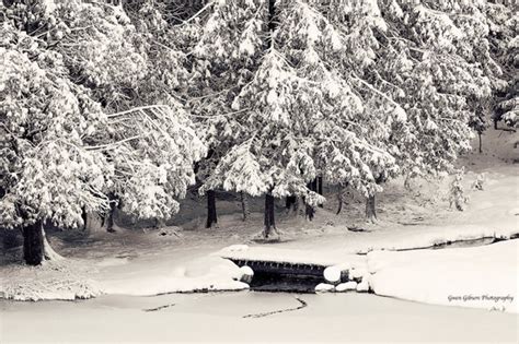 Snow Photograph Black and White Snow Scene Snowy Landscape | Etsy