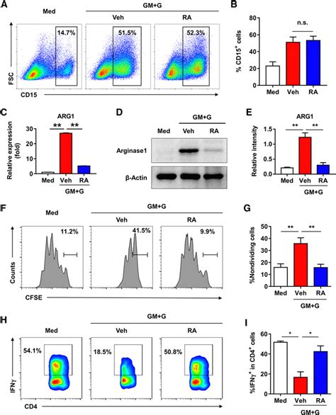 Ra Abrogates The Suppressive Capacity Of Pmn Mdscs A And B Cd