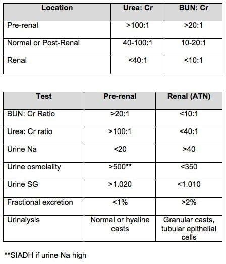 Low bun creatinine normal range - tronickoti