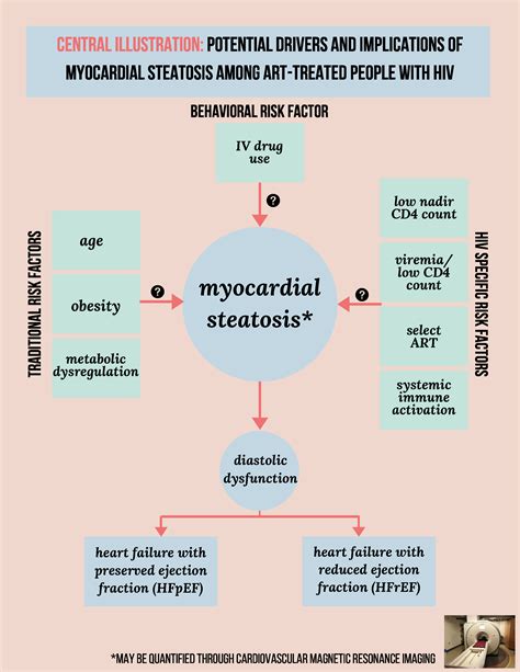 Myocardial Steatosis Among Antiretroviral Therapy Treated People With