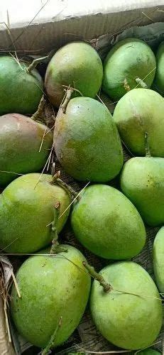 Green Organic Devgad Alphonso Mangoes Carton Packaging Size Dozen