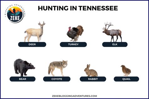 Hunting In Tennessee Season Guide 2024 Zeke Adventure Blog