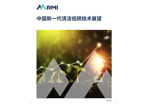 中国新一代清洁低碳技术展望 落基山研究所（rmi