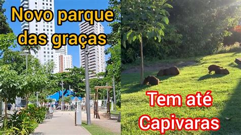 Descubra O Segredo Escondido No Novo Parque Das Gra As Em Recife