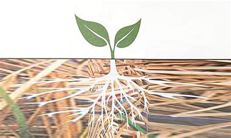 Дизайнерская бумага Hi-Class Recycled 100% изготовлена из вторичного сырья