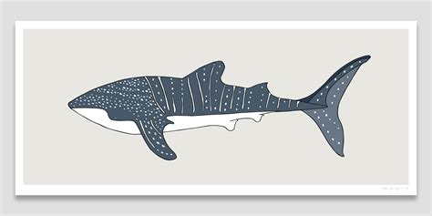 Whale Shark - Eggpicnic