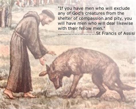 Francis Of Assisi With Animals St Francis And St Clare Of Assisi