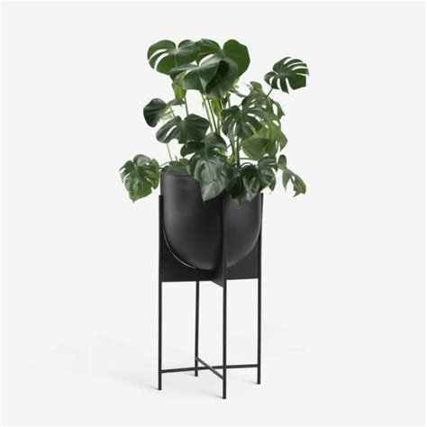 51 Large Planters to Upgrade Your Plant Game