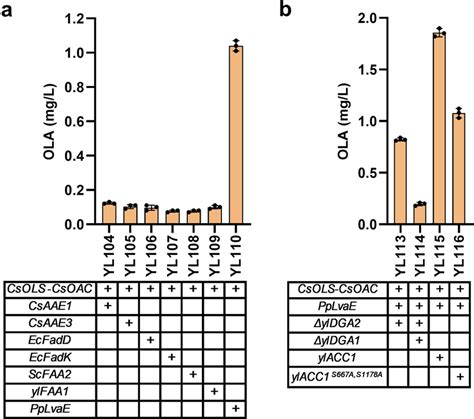 Boosting Hexanoyl CoA And Malonyl CoA To Improve Olivetolic Acid OLA