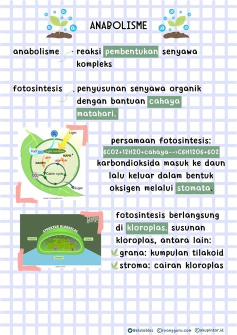 Caaaa On Twitter Rangkuman Biologi Kelas Anabolisme Cr Https