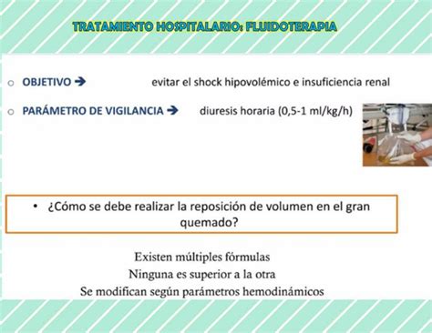 Tratamiento Hospitalario Fluidoterapia Alxnsx S Udocz