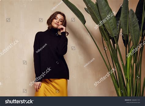 Portrait Fashion Model Brunette Hair Wear Stock Photo