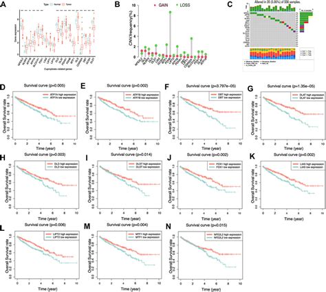 Frontiers Prognostic Value And Immunological Characteristics Of A