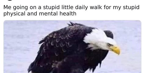 30 Wholesome Memes For Animal Lovers Barnorama