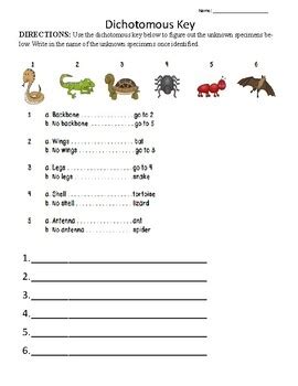 Dichotomous Key Activity By Iteach Special Ed Tpt