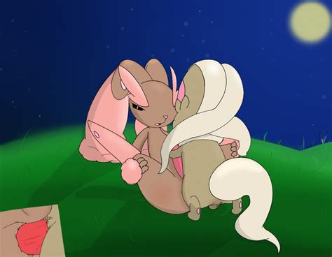 Rule 34 Anal Anal Sex Chinchilla Cinccino Fur Furry Lopunny Male Only