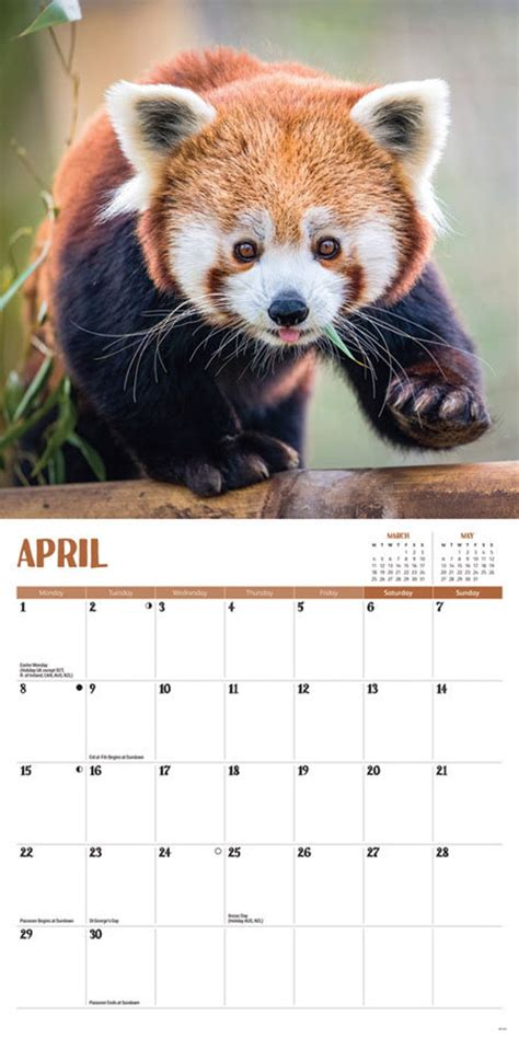 RED PANDA CALENDAR 2024 Etsy