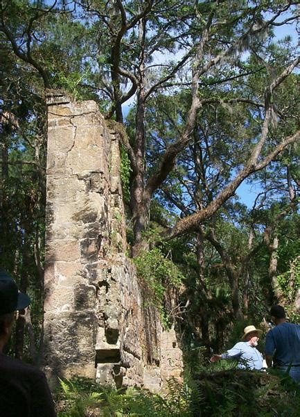 Bulow Plantation Ruins Historic State Park In Flagler Beach Flagler