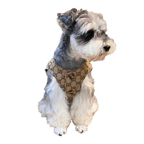 Gucci Dog Vest Gucci Dog Clothes Designer Puppy Clothes