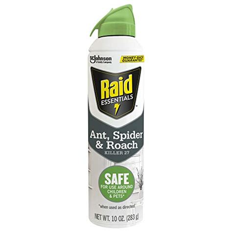 Find The Best Spider Killer For Home Reviews Comparison Katynel