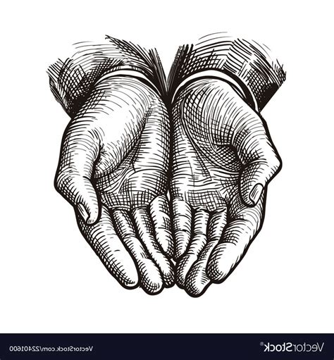 Cupped Hands Vector at Vectorified.com | Collection of Cupped Hands Vector free for personal use